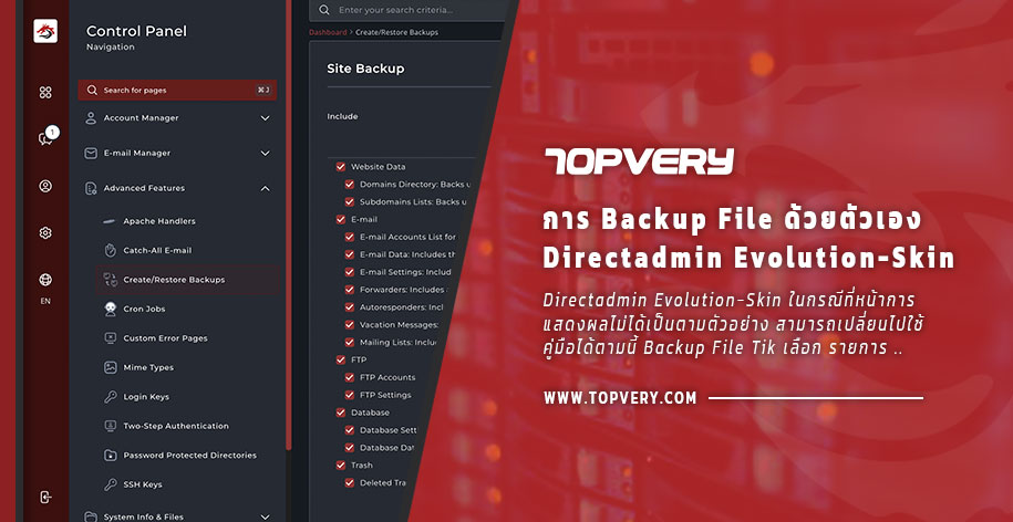 Directadmin การ Backup File ทั้งหมดด้วยตัวเอง Directadmin Evolution-Skin